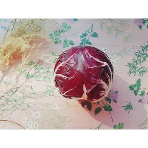 [맹다혜씨네작은텃밭]라디치오 (Radicchio) 1알