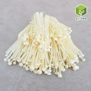 팽이버섯 5kg