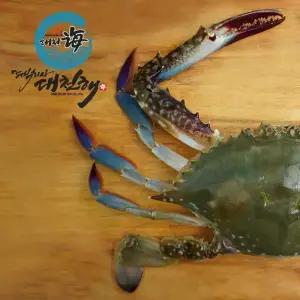 서해안 가을꽃게 생물 2kg(7~10미)