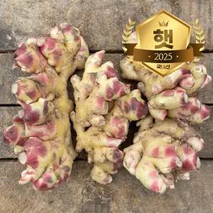 25년 수확 국내산 경북 햇 흙생강 1kg(특품)