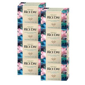 라이스데이 비누 청 100g x8개
