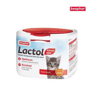 비아파 락톨 고양이분유 250g 새끼고양이 우유