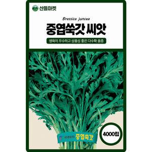산들마켓 중엽쑥갓 씨앗 4000립 생육이 우수하고 상품성이 좋은 맛좋은 고급종 종자