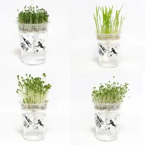 저면관수 미니화분 새싹 키우기 DIY 키트/화분/재배/식물/기르기/꽃키우기/채소/반려식물/재배기