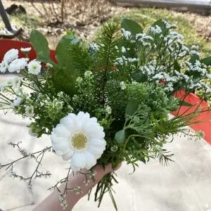 오후의 꽃 생화택배 꽃다발 그린 화이트 한다발 그린 소재 양재꽃시장