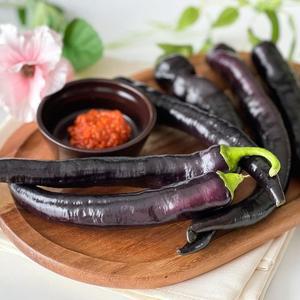 순천 가지고추 미인보라고추 1kg 당일수확