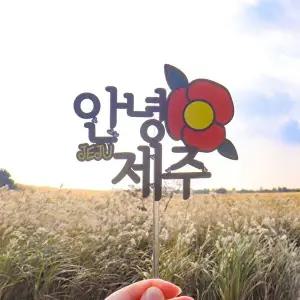 [브이와이][VCK6K082]제주 여행 토퍼 폴라로이드 감성소품 인증샷