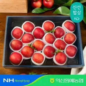 [익산원예농협] 제철 햇 홍로 사과 5kg (특품 중과, 19내)