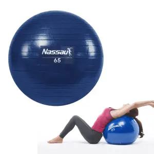 마사지 짐볼 65cm 운동 짐볼 헬스 마사지짐볼 홈트 홈트레이닝