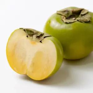 아삭아삭 달콤한 태추단감 5kg
