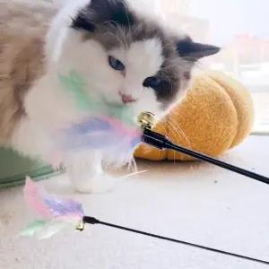 고양이 깃털 장난감 고양이 놀이 무지개 깃털 장난감 (WFJUXOQ)