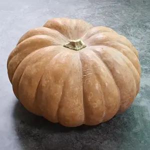 25년 햇 수확 싱싱하고 잘 익은 국산 늙은호박 4~6kg
