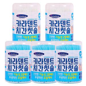카라덴트 치간칫솔(300P) 5개 휴대용 치간솔 이쑤시개