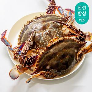 [품질보장] 2025년 첫 출하 국내산 생물 숫꽃게 꽃게 1kg (3-5미)