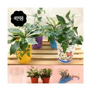 식물 기르기 키우기 4인용 호야 아이비 어린이집 노인 원예 체험 환경교육 부모참여수업