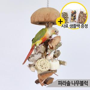 천연 코코넛 파라솔 앵무새 장난감 나무블럭 오징어뼈