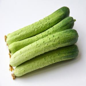 국내산 백오이 신선하고 아삭한 농산물 백다다기오이 샐러드 오이지 오이반찬 피클 간편간식 5kg