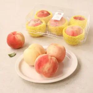 아삭한 복숭아 1.2kg (4~5입) 팩