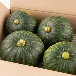 산지직송 미니밤(단)호박 보우짱 1kg 2~4개