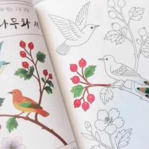 민화 어른 어르신 시니어 색칠 공부 컬러링북 24장