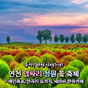 [경기] 특별가 인센투어/연천 댑싸리 정원+재인폭포+전곡리 유적지+세라비 한옥카페 당일여행 / 서울경기出