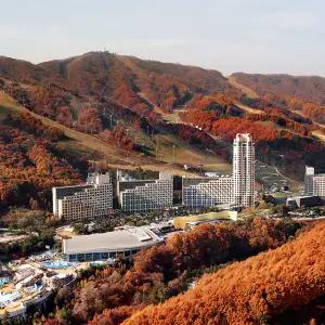 휘닉스 평창 가을여행&올인클루시브 2인/3인/4인 패키지