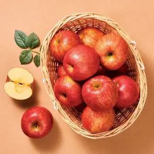 [NS홈쇼핑](표4)열매나무 거창 햇 못난이 홍로사과 6kg(18-32과, 185-350g)[35464149]