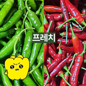 프레치 국내산 청양고추500G+청양홍고추500G 세트
