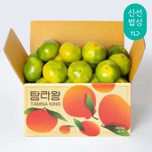 [탐라왕] 제주 노지 감귤 3kg 중과(L-2L)