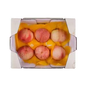 아삭한 복숭아 1.5kg (4~8입) 박스