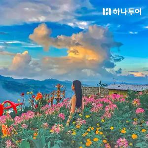 [혜택가4만원대][Live11] 세부 반일투어 #출국패키지 #세부시내투어 #마사지90분 #공항드랍 #아동반값 #NO쇼핑
