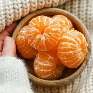 돌담프룻  제주산 노지 감귤 로열과 4.5kg
