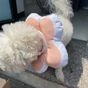 꽃피는 강아지 고양이 쿠션 넥카라 핑크 L (WFJY1XF)