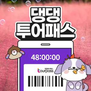 제주 반려견 동반 여행 댕댕투어패스 제주도 강아지 관광지 카페 핫플 체험
