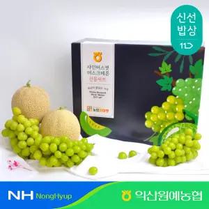 [익산원예농협] 멜론샤인 혼합세트 5kg 이상 (멜론2수, 알당 1.5kg 이상 + 샤인머스켓2kg, 3~4수)