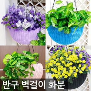 반구 벽걸이화분(TB-10)/플라스틱 미니 장식 화분