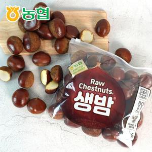 [농협] 속이 꽉찬 순창 햇 알밤(특품) 10kg / 꿀밤 / 맛밤 / 공주밤 / 정안밤 / 옥광밤