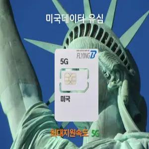미국유심 1일 데이터용 총 5GB