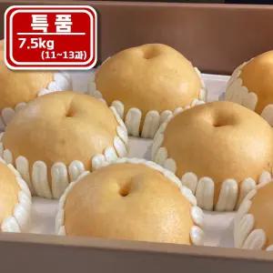 GAP 프리미엄 나주배 햇배 특품 선물용 7.5kg (11~13과)/제수용 신고 배 과일 명절 추석 선물세트