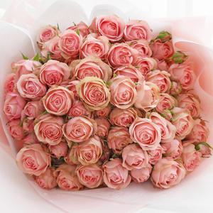 생화 100송이 백송이 장미 꽃다발 결혼기념일 프로포즈 생일 생신 선물 전국 꽃배달 예약