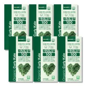 유기농 컬리케일 분말 스틱 6박스 개별포장 동결건조 폴란드산 곱슬케일 100%