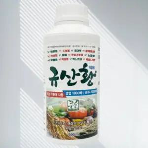 규산황 진딧물 총채벌레 고추 탄저병 살충제