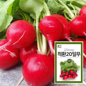 마이플랜트 적환20일무 씨앗 래디쉬 빨간무
