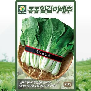 다농 동동얼갈이배추 씨앗 20g 엇갈이배추씨 종자