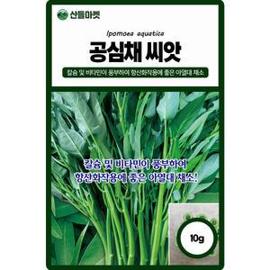 산들마켓 공심채 씨앗 10g 칼슘 비타민이 풍부하여 항산화 작용에 좋은 모닝글로리 열대식물 품종 종자