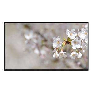 LG전자 75QNED80KRA 각도조절벽걸이 4K UHD QNED TV 전국추가비용없음 국민전자