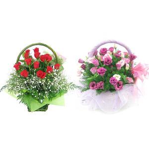 젠틀맨플라워 꽃바구니 축하 출산 꽃배달