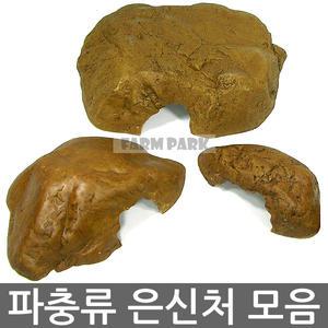 파충류 은신처 모음전/하겐/테라/거북이/이구아나/도마뱀/레오파드/타란튤라/개코