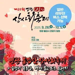 [전남] 영광 불갑산 상사화축제(꽃무릇)+숲쟁이 꽃동산+법성포 당일여행 (일반/리무진버스) / 서울경기出