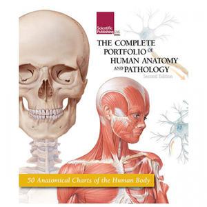 [Scientific] 인체해부도,병리학 차트북 PHAP-50